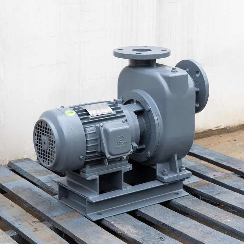 Energy-efficient and reliable horizontal centrifugal pumps