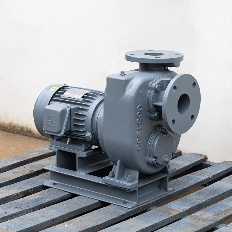 Energy-efficient and reliable horizontal centrifugal pumps