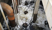 Professional sewage pump