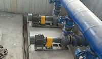Professional sewage pump