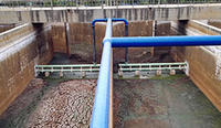 Professional sewage pump