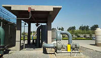 Professional sewage pump